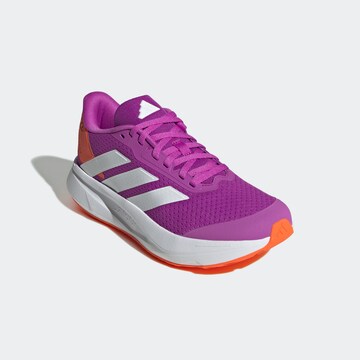 ADIDAS SPORTSWEAR Sneaker in Lila