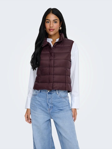 ONLY - Chaleco 'ONLRUBY' en marrón: frente