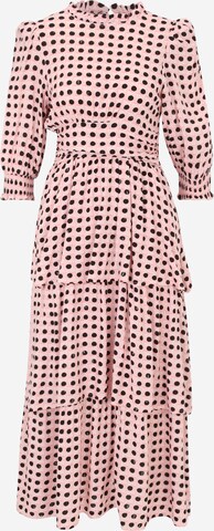Dorothy Perkins Petite Dress in Pink: front