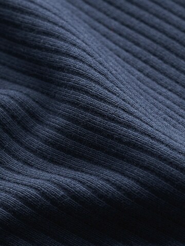 Seasalt Cornwall Shirt 'Gorse Lane Rib' in Blauw