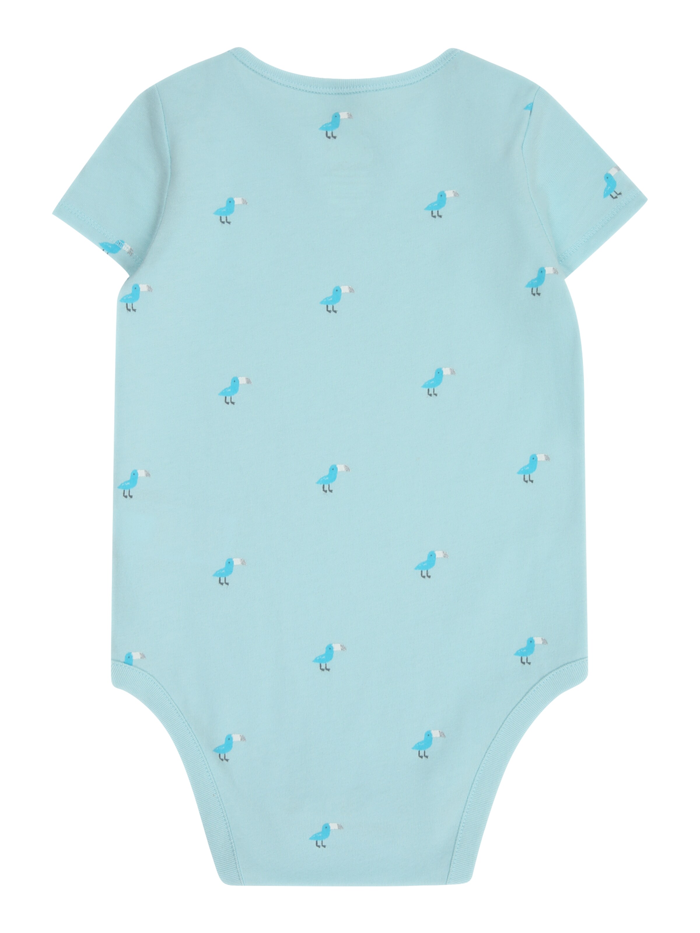 mišri GAP Šliaužtinukas / glaustinukė