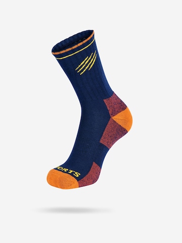 SWORTS Athletic Socks 'Merino Run Socks' in Blue