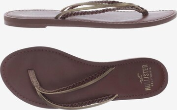 HOLLISTER Sandals & High-Heeled Sandals in 40,5 in Brown: front