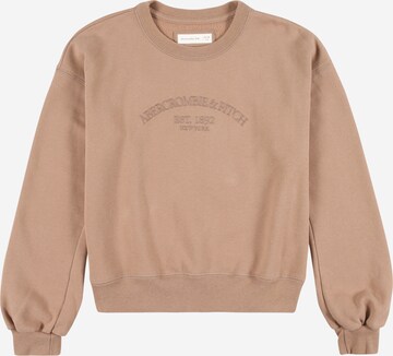 Abercrombie & Fitch Sweatshirt in Bruin: voorkant
