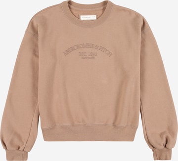 Abercrombie & Fitch Sweatshirt in Brown: front