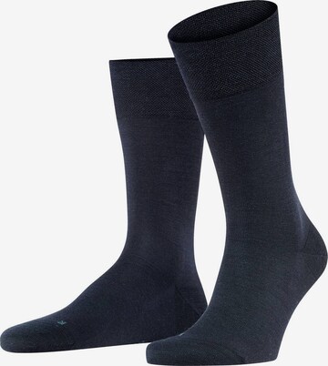 FALKE Socken in Blau: predná strana