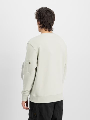 ALPHA INDUSTRIES Bluzka sportowa 'Dtm' w kolorze szary