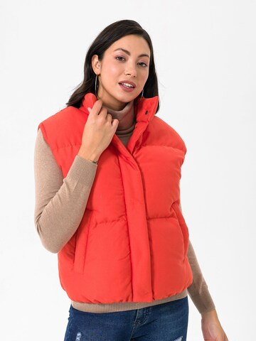 Gilet di Daniel Hills in arancione