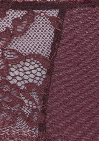 s.Oliver Panty in Rot
