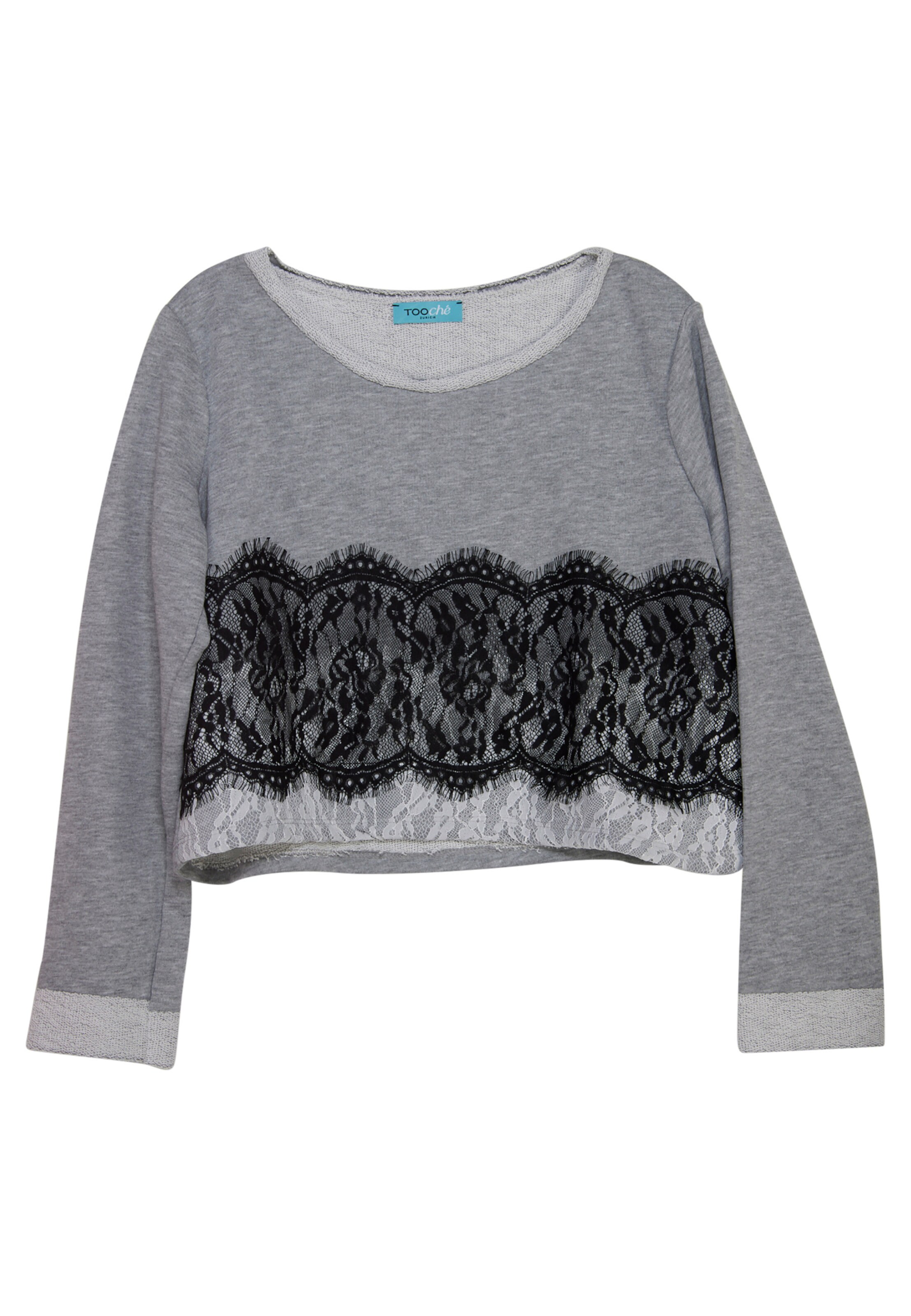 TOOche Sweater in Grey: front