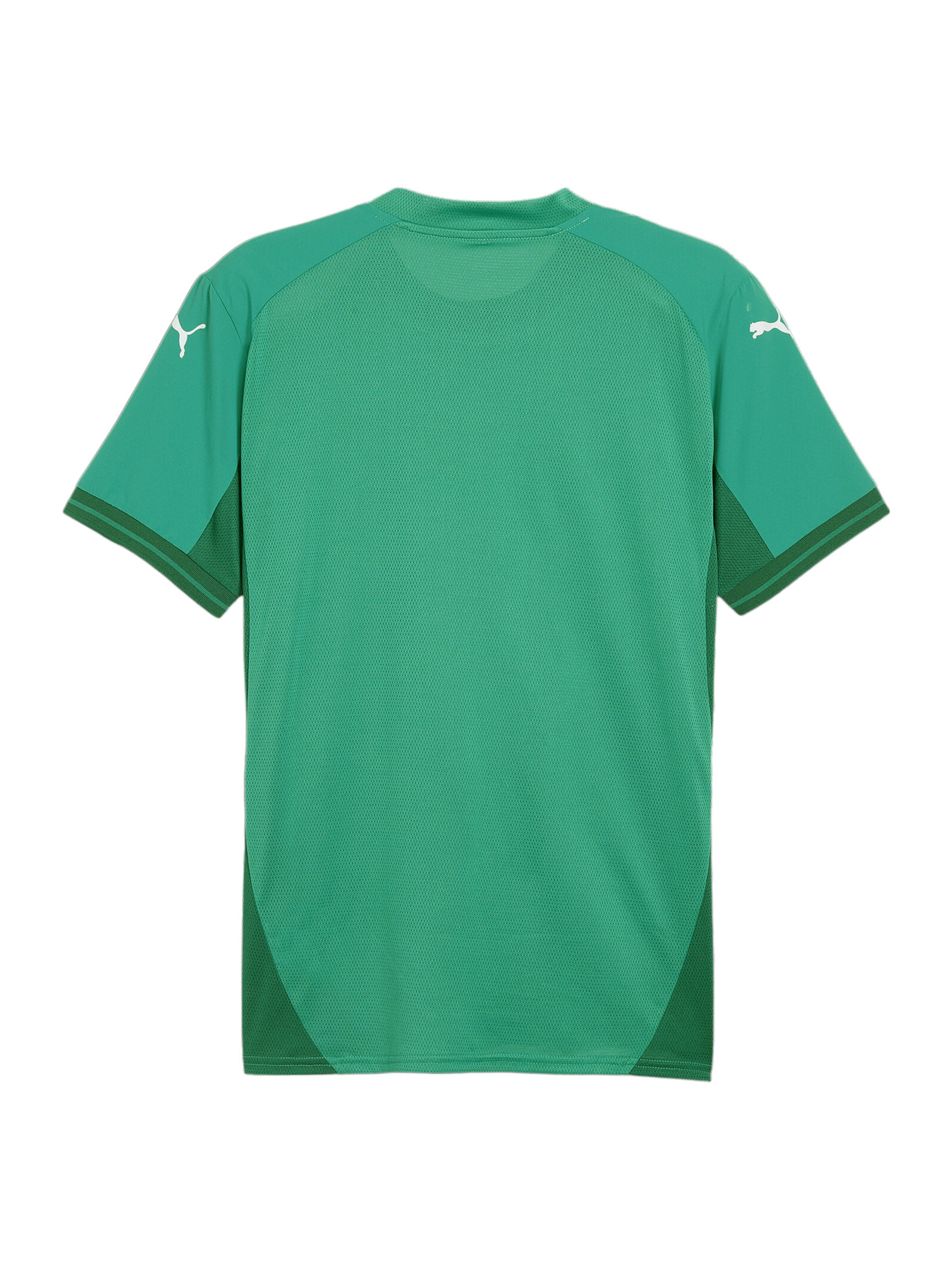 PUMA Performance Shirt 'TeamFinal' in Green
