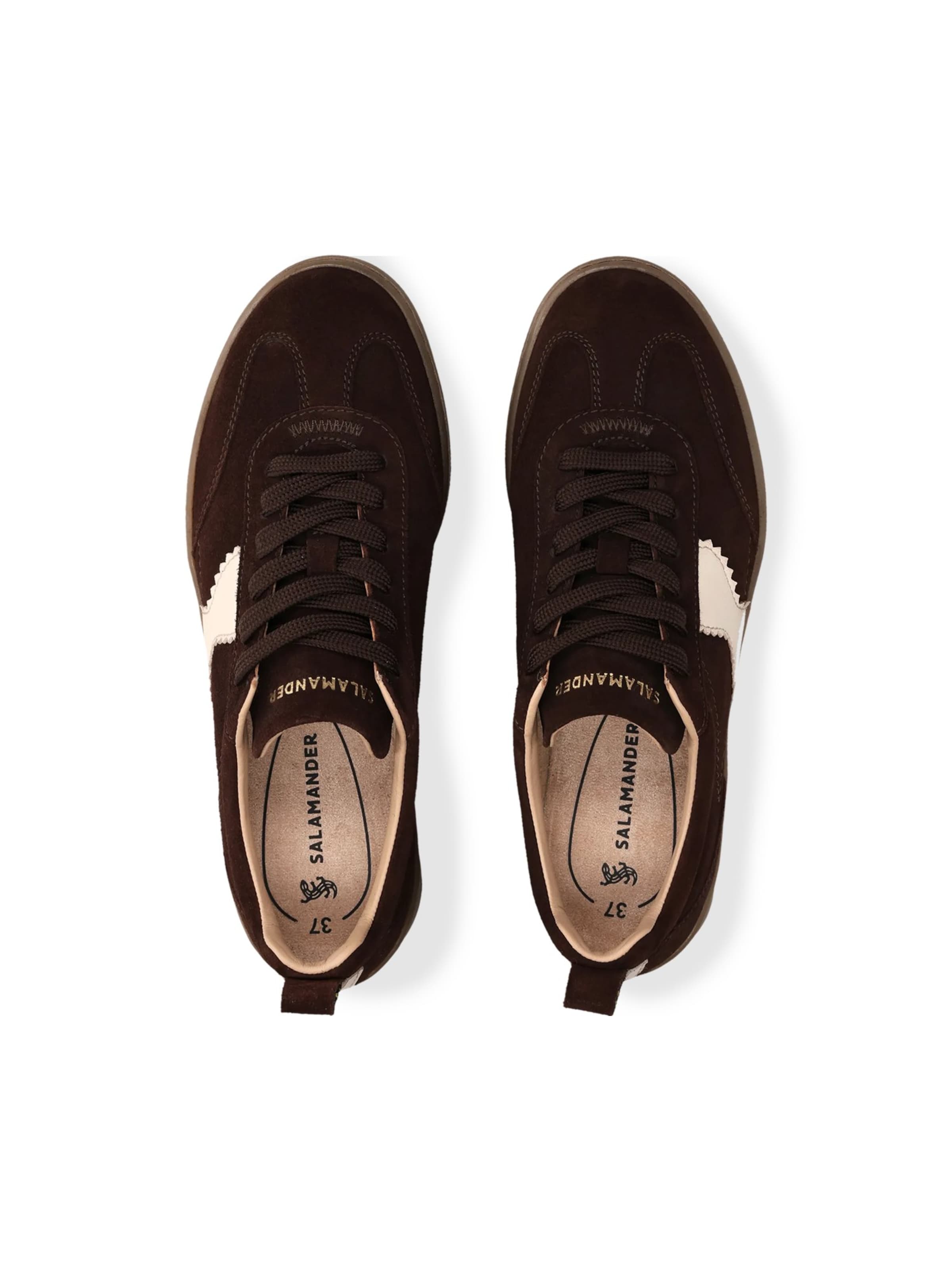 SALAMANDER Sneakers laag in Bruin