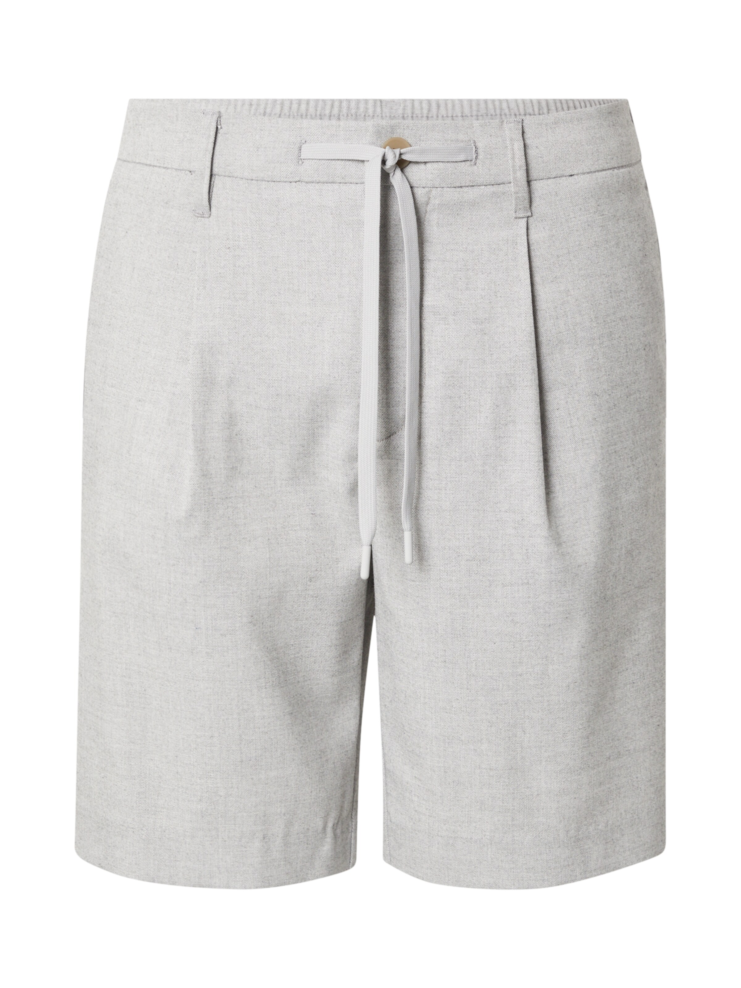 SELECTED Regular Pleat-Front Pants 'SLHLeroy' in Grey: front