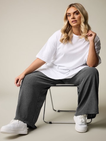 Stil Diva Regular Broek in Grijs