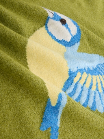 Next Pullover in Grün