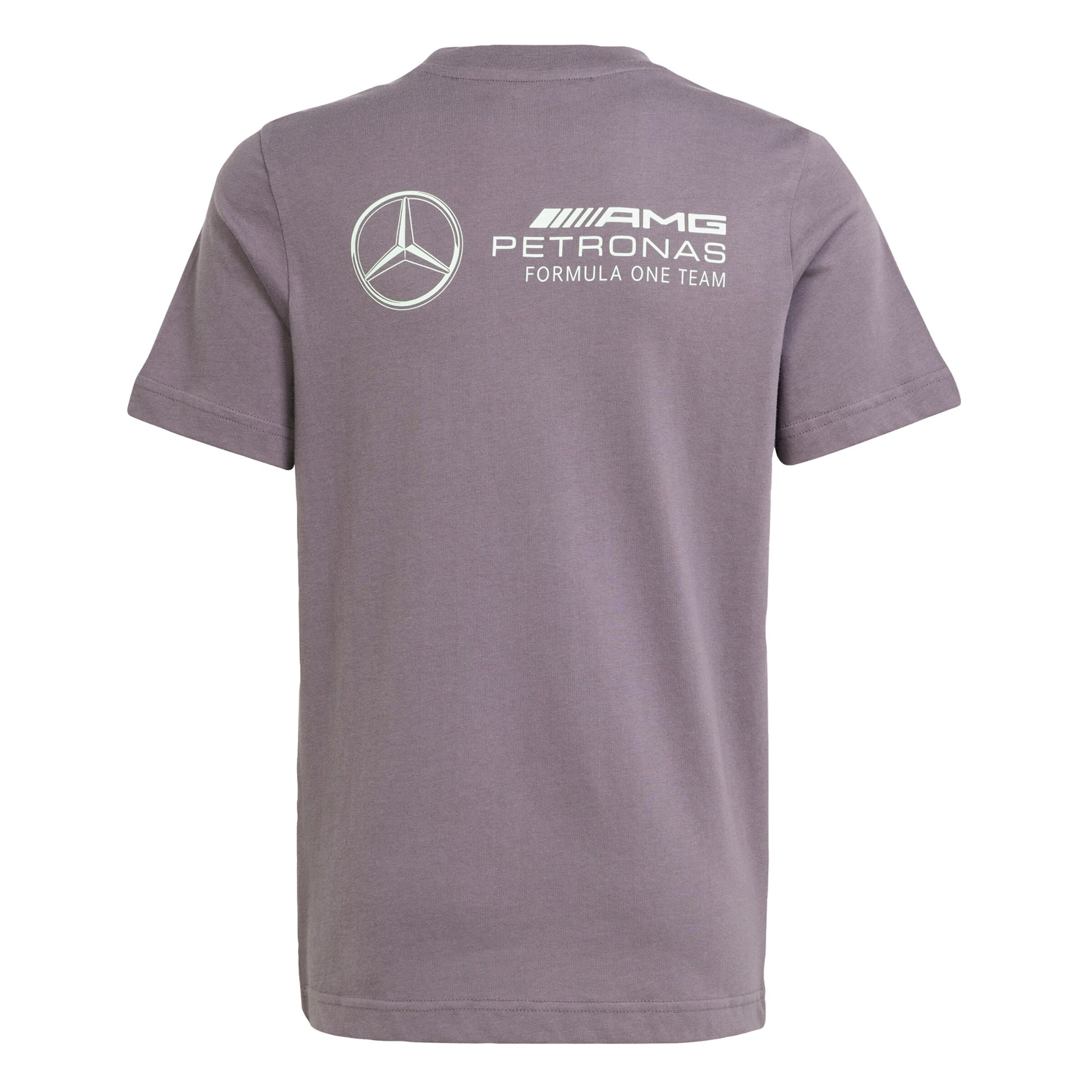 ADIDAS PERFORMANCE Functioneel shirt 'Mercedes - AMG Petronas Formula One Team' in Lila