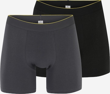 SLOGGI Boxer shorts 'EVER' in Grey: front