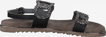 MARCO TOZZI Sandalen met riem in Zwart