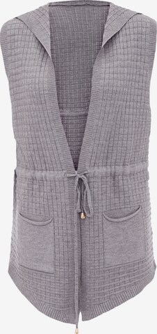 COBIE Knit Cardigan in Grey: front