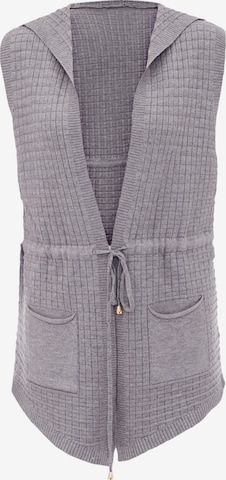 COBIE Knit Cardigan in Grey: front