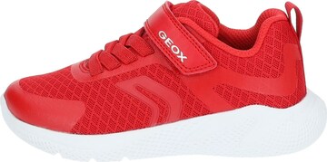 Baskets GEOX en rouge