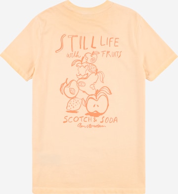 oranžs SCOTCH & SODA T-Krekls