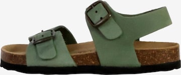 Chaussure basse 'Leder-Pantoletten für Kinder' The Divine Factory en vert : devant