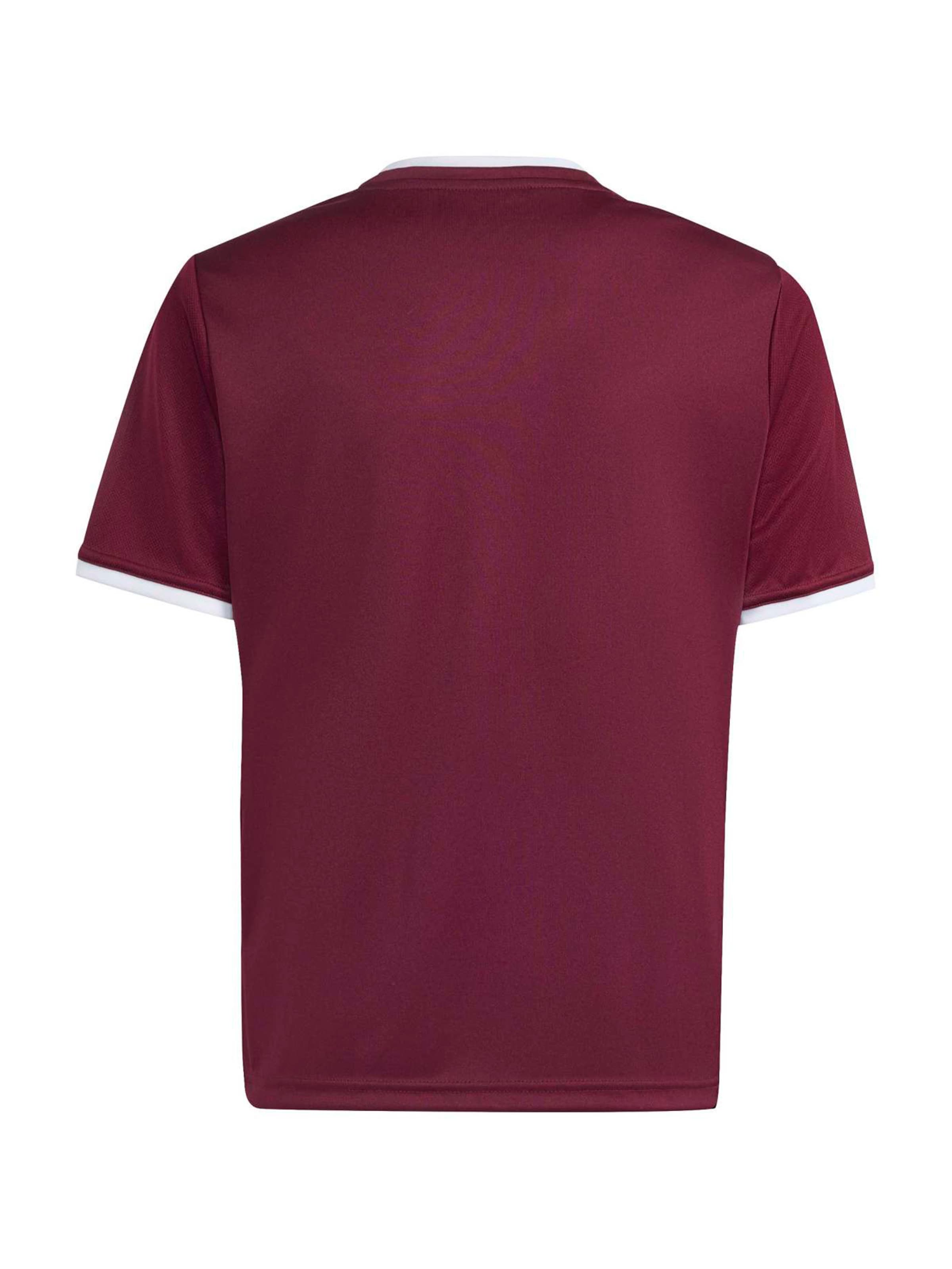 ADIDAS PERFORMANCE Функциональная футболка 'ENT26' в Красный