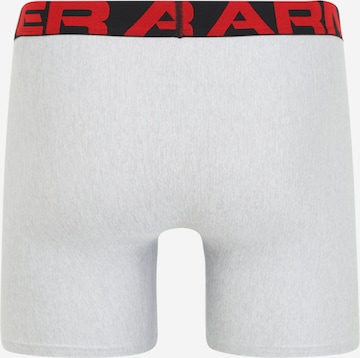 pelēks UNDER ARMOUR Sporta apakšbikses