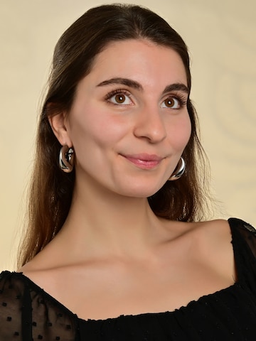 Akzent Earrings 'wasserfest' in Silver: front