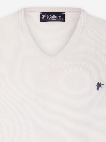 DENIM CULTURE Sweater 'PIETRO' in White