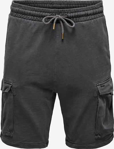 Only & Sons Pantalon cargo 'Nicky' en gris, Vue avec produit