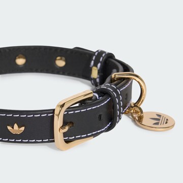 ADIDAS ORIGINALS - Acessórios para animais 'PET' em preto