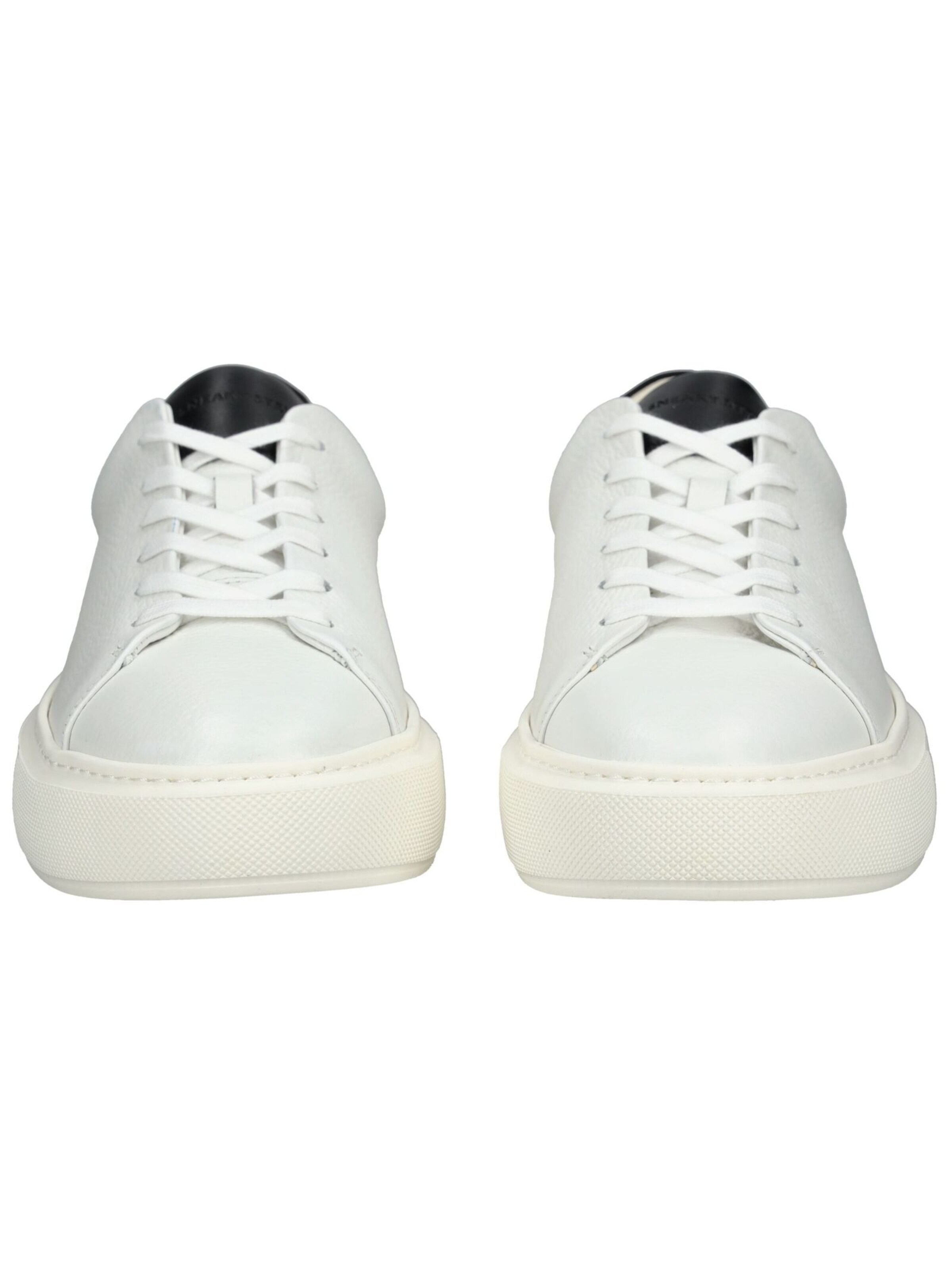Baskets basses Sneaky Steve en blanc