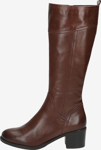 Bottes CAPRICE en marron