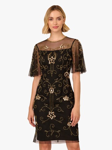 Adrianna Papell Cocktail dress in Black: front