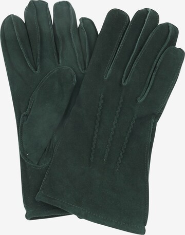 Suitable Full Finger Gloves in Green: front