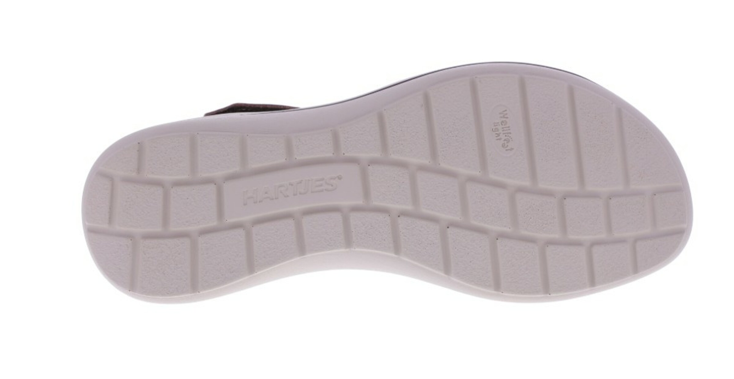 Hartjes Sandals in Brown