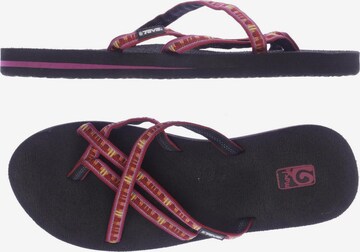 TEVA Sandalen 43 in Rot: predná strana