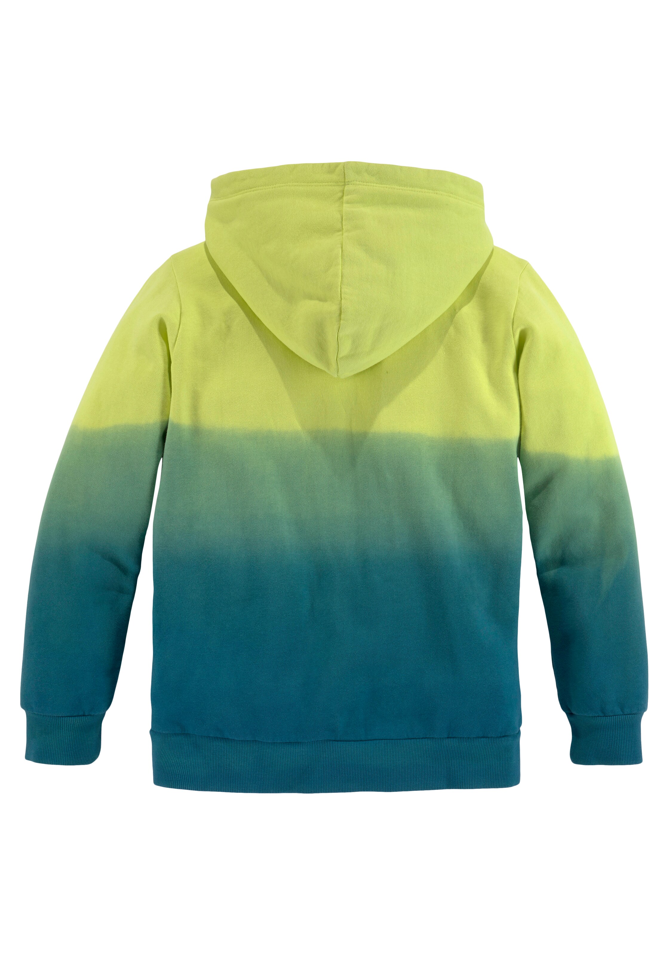 CHIEMSEE Sweatshirt in Green