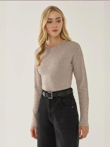 Hiccup Pullover in Beige