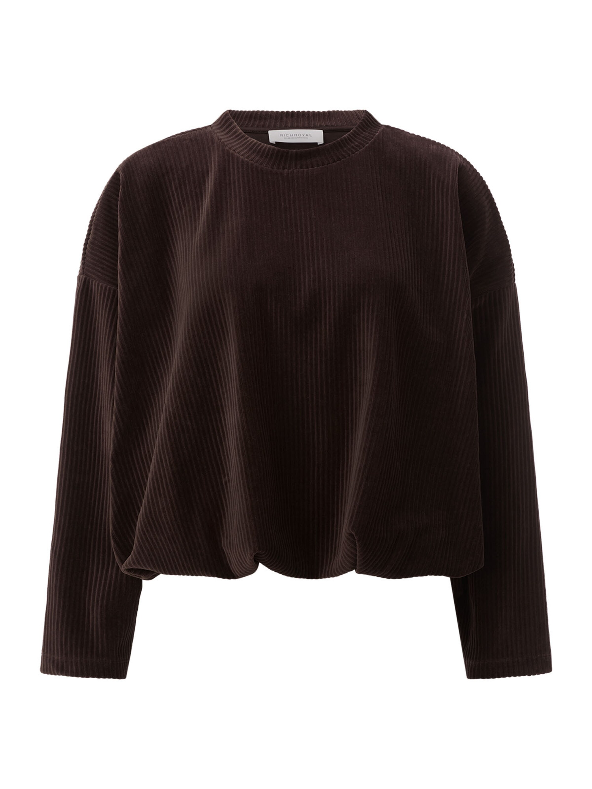 Felpa di Rich & Royal in marrone: frontale