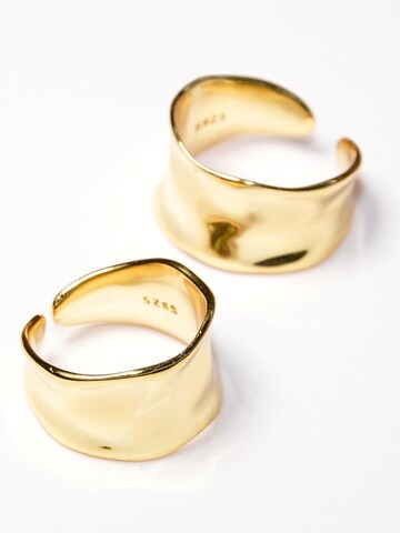 ARS-ARGENTI Ring '#011 NO SAINT' in Gold