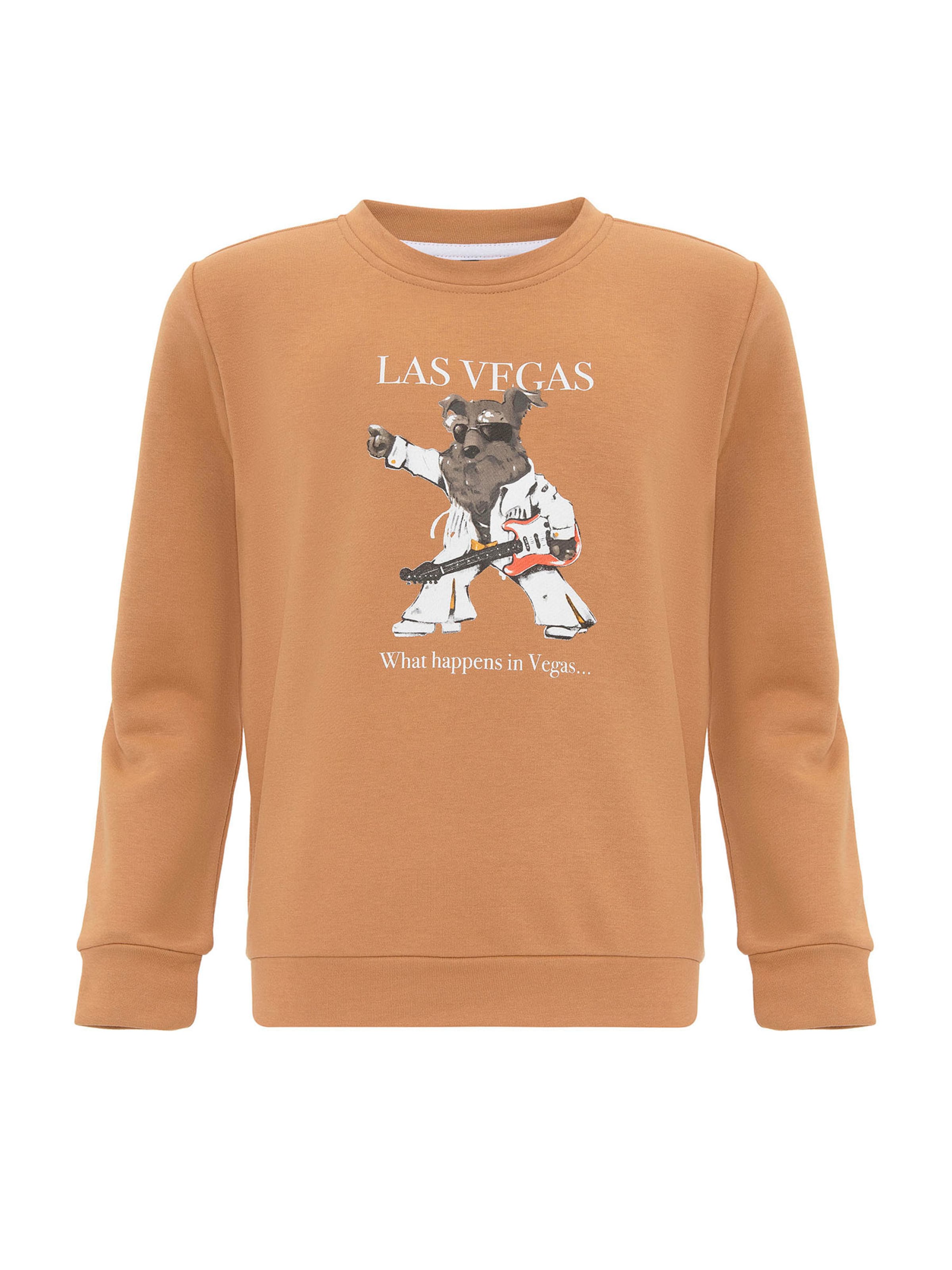 Williot Mikina - Hnedá: predná strana