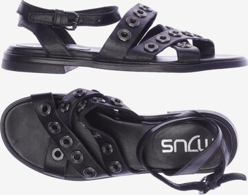 MJUS Sandalen 39 in Schwarz: predná strana