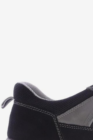 ARA Flats & Loafers in 41 in Black