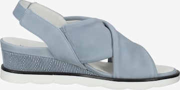HASSIA Sandals in Blue