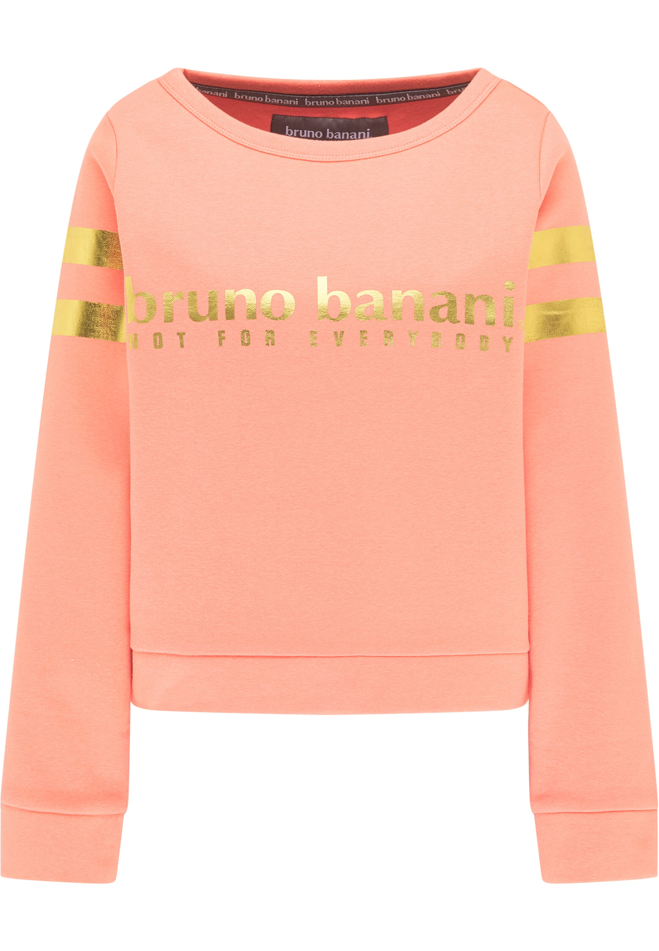 Bruno Banani Sweatshirt 'GRIFFIN' in Orange: front