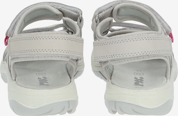 IMAC Sandale in Grau