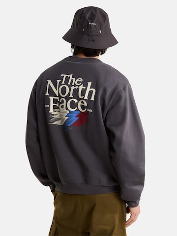 THE NORTH FACE - Sudadera en gris: frente